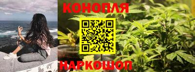 ALPHA PVP Партизанск