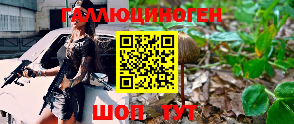 Псилоцибиновые грибы прущие грибы  Псилоцибиновые грибы Psilocybe  Пугачёв  Вход с VPN 