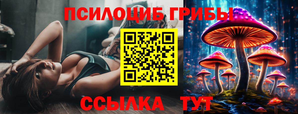 Галлюциногенные грибы ЛСД Пугачёв
